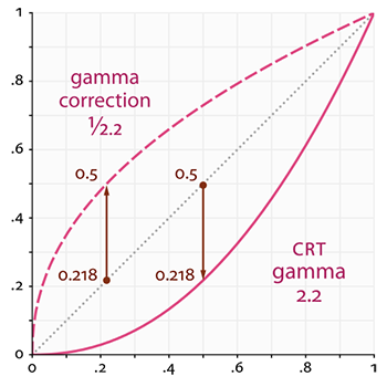 Graph of the linear response, the monitor's gamma 2.2 curve below it, and the inverse curve above it (LearnOpenGL's diagram)
