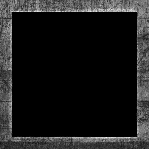 The container's specular map: black where the wood is, grey and white on the steel border (LearnOpenGL's image)
